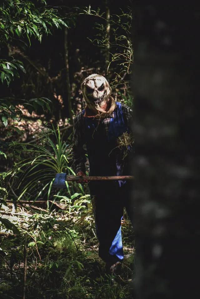The scarecrow standing in a shaft of light deep in the bush with an axe held low, half hidden behind a tree trunk