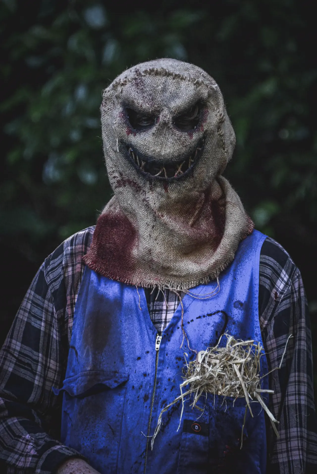 Portrait of the scarecrow character in a stitched burlap hood with a grinning mouth of straw teeth, straw spilling out of the chest of his blue overalls